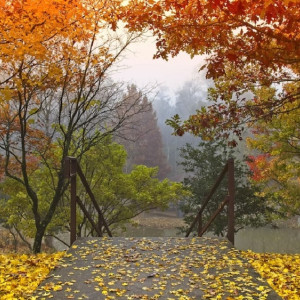 Жителям Владимирской области пообещали аномальное тепло
