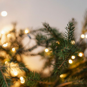 Прогноз погоды во Владимире и области на 23 декабря