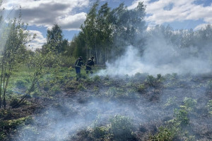 У деревни под Камешково пожар охватил 500 квадратов травы