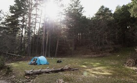 В Суздале обнаружили незаконный палаточный лагерь для детей