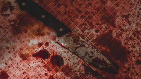 Расчленивший бизнесмена житель Мурома получил 9 лет колонии