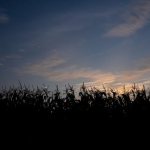 Прогноз погоды на 3 апреля 2024 года во Владимире и области