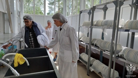 Во Владимирской области у 39 поставщиков питания в детские лагеря нашли нарушения