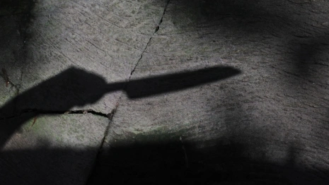 Житель Владимирской области убил мать