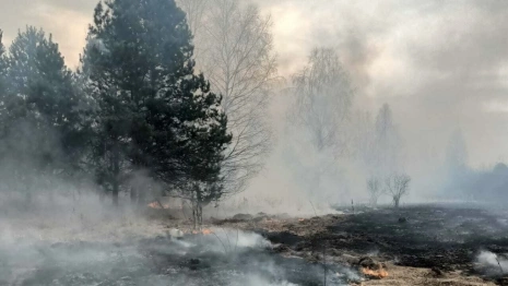 За лесными пожарами во Владимирской области будут следить самолеты и спутники
