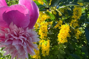 Прогноз погоды во Владимире и области на 23 августа