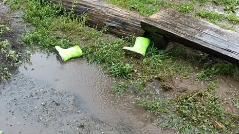 Во Владимирскую область придет гроза с сильным ветром