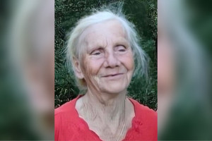 Владимирцев позвали на срочные поиски в лесу 83-летней бабушки