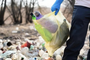 Гендиректор фирмы из Петушков присвоил миллион рублей при рекультивации свалки