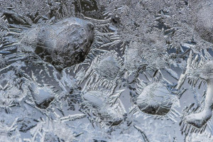 Синоптики спрогнозировали вероятность ЧС во Владимирской области 25 января