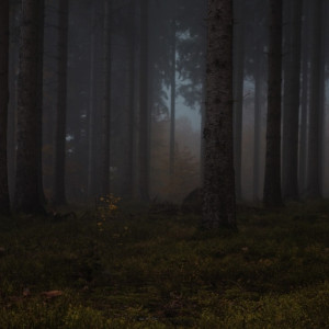 Пропавшую 82-летнюю жительницу Гороховца нашли мертвой