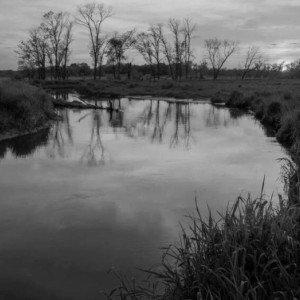 Пропавшего во Владимирской области рыбака нашли мертвым