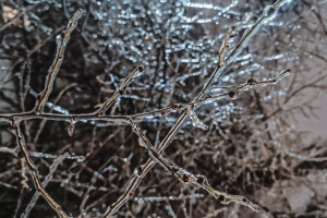 Ледяной дождь во Владимире. Что это такое и как спастись от его последствий