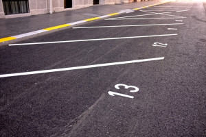 Во Владимирской области установят 20 проекционных зебр