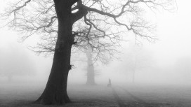 Прогноз погоды во Владимире и области на 8 декабря 2025 года