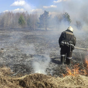 Причиной мощного пожара травы в Суздальском районе стало сжигание мусора