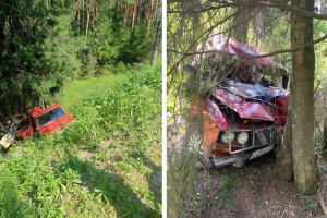 Во Владимирской области 53-летний водитель ВАЗ врезался в дерево