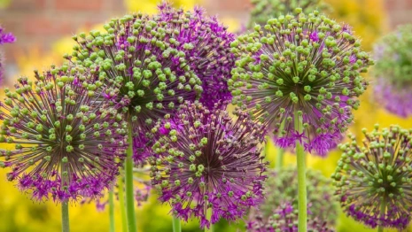 Первая неделя апреля во Владимирской области будет по-настоящему весенней