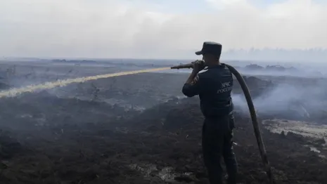 Во Владимирской области обнаружили 6 новых очагов лесных пожаров