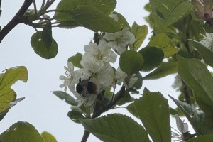 Прогноз погоды во Владимирской области на 22 мая 2025 года