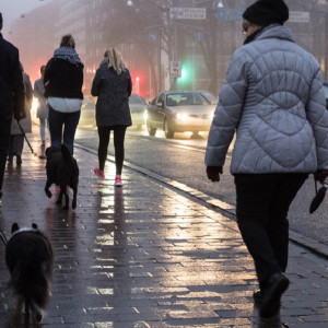 Во Владимирской области первые выходные осени будут аномально холодными