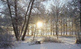 Прогноз погоды во Владимирской области на 6 декабря