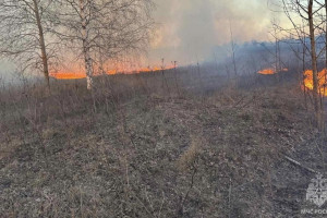 Во Владимирской области около деревни загорелись 50 гектаров сухой травы