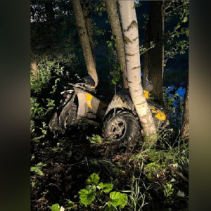 Под Камешково разбился водитель влетевшего в дерево болотохода