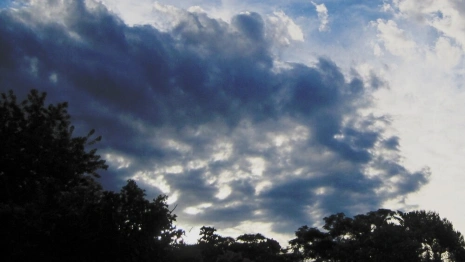 Прогноз погоды во Владимире и области на 25 апреля 2024 года