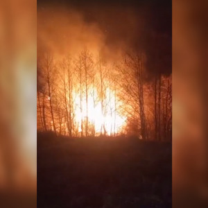 На окраине Владимира вспыхнули дачи