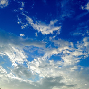 Прогноз погоды во Владимирской области на 15 августа