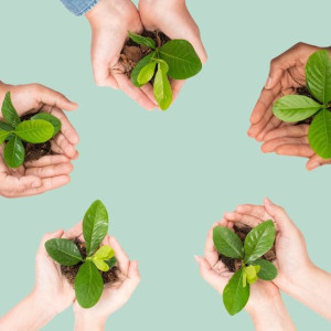 Владимирцы отказались от бумажных квитанций и сэкономили 752 кг бумаги