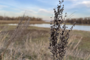 Прогноз погоды во Владимире и области на 30 марта