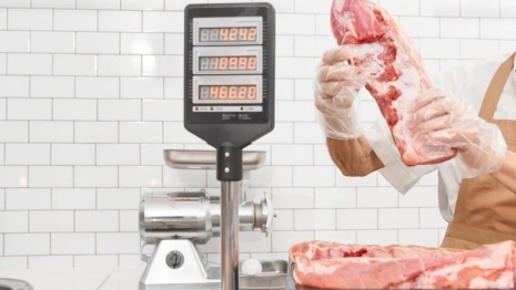 В Александрове отменили карантин по африканской чуме свиней