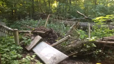 На Князь-Владимирском кладбище ураган «Эдгар» массово повалил деревья