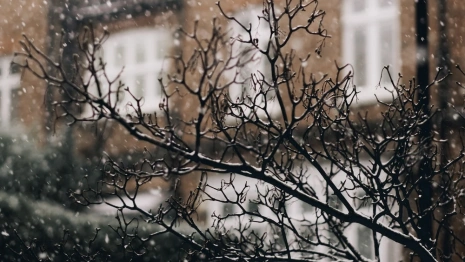 Прогноз погоды во Владимирской области на 22 ноября