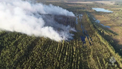 За лесным пожаром в Камешковском районе начали следить беспилотники