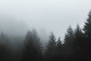 Народные приметы на 28 января 2024 года: что можно и нельзя делать в Павлов день