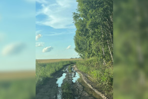 Под Кольчугино появится дорога вместо разбитой колеи