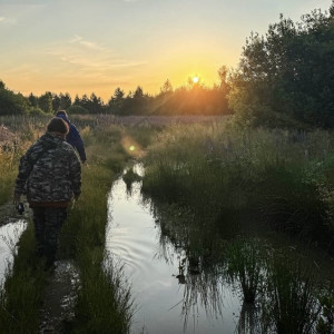 Владимирские волонтеры прочесали 100 км леса в поисках заблудившегося 64-летнего мужчины