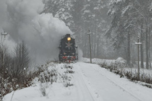 Через Владимирскую область запустят турмаршрут «В Дивеево» на поезде