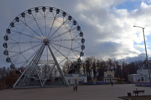 Вырубку деревьев в Центральном парке оценили в 2,5 млн рублей