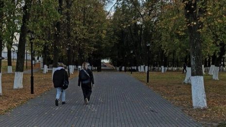 Во Владимире переименуют парк имени Пушкина