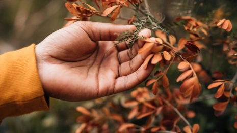 Прогноз погоды во Владимире и области на 6 сентября