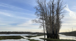 Во Владимире в половодье может затопить 32 СНТ