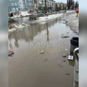 Затопленные дворы и утонувшие машины. Как Владимирская область пережила проливные дожди