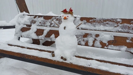 Владимирцы измерили высоту сугробов и слепили первых снеговиков