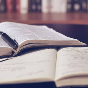 Во Владимирской области опубликовали график досрочного ЕГЭ