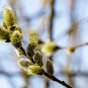 Синоптики дали обнадеживающий прогноз на Пасху во Владимирской области