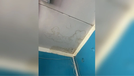 В школах и детсадах Суздальского района нашли многочисленные нарушения